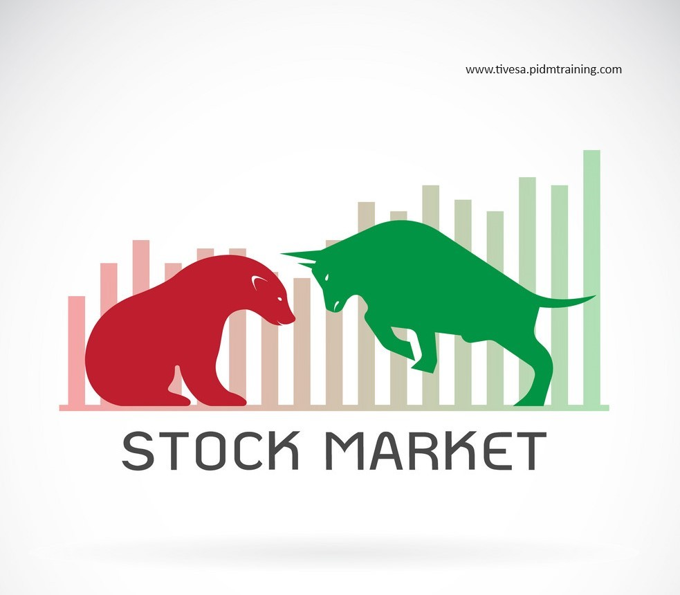 Learn how to start your journey in stock market through our informative guides for new investors.