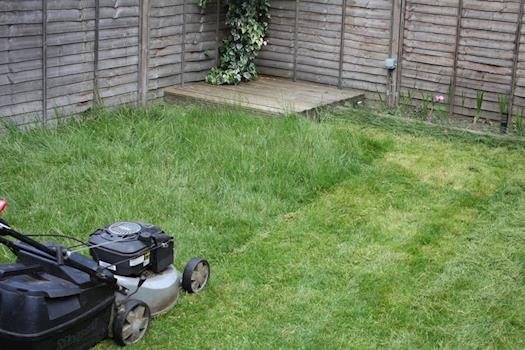 Gardening Services Reigate