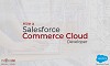 commerce cloud developer