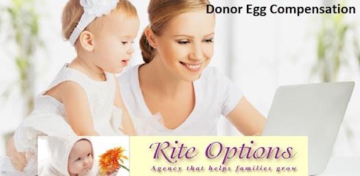 Donor Egg Compensation