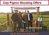 Clay pigeon shooting offers at AA Shooting School, Dorset, UK