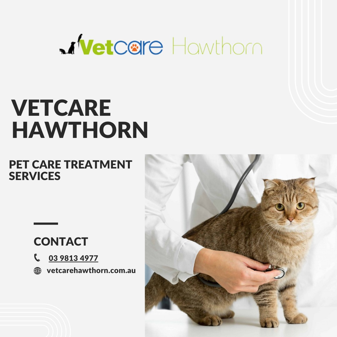 Vetcare Hawthorn: Premium Pet Care Treatment Services for Your Beloved Companion