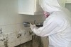 iMold US Water Damage & Mold Removal Service Naples