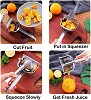 Stainless Steel Fruit & Vegetable Hand Juicer