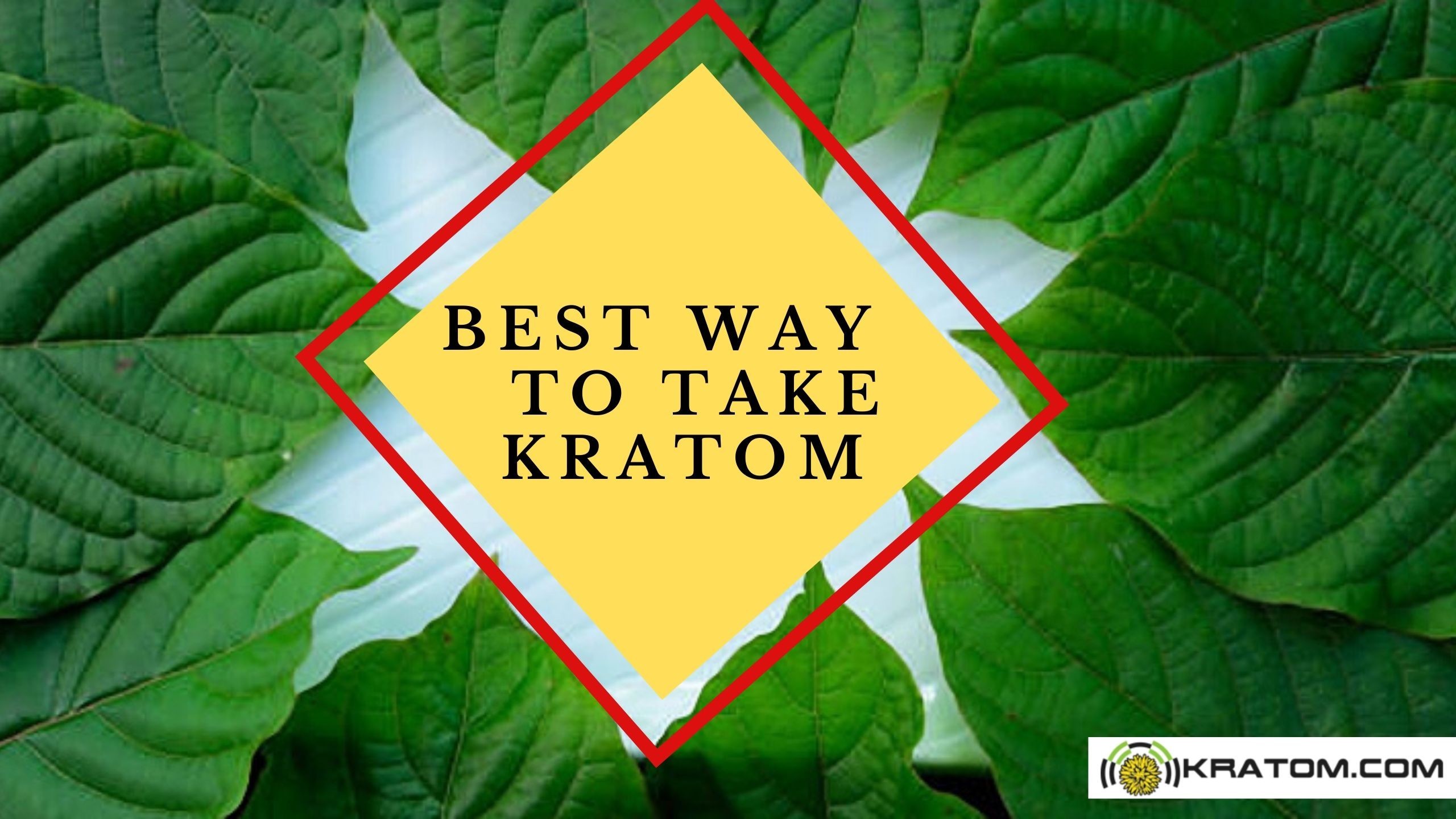 The 4 Best Ways to Take Kratom