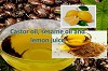 Castor Oil, Lemon Juice & Sesame Oil For Wrinkle Free Skin