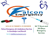 Falcon Emergency Air Ambulance Services in Indore