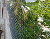 Protecting Your Peaceful Oasis: Pigeon Nets for Balconies