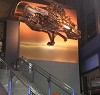 The Spaceship – AIBA Airport Custom Wall Installation