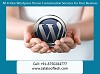 All In One Wordpress Theme Customization Services For Your Business