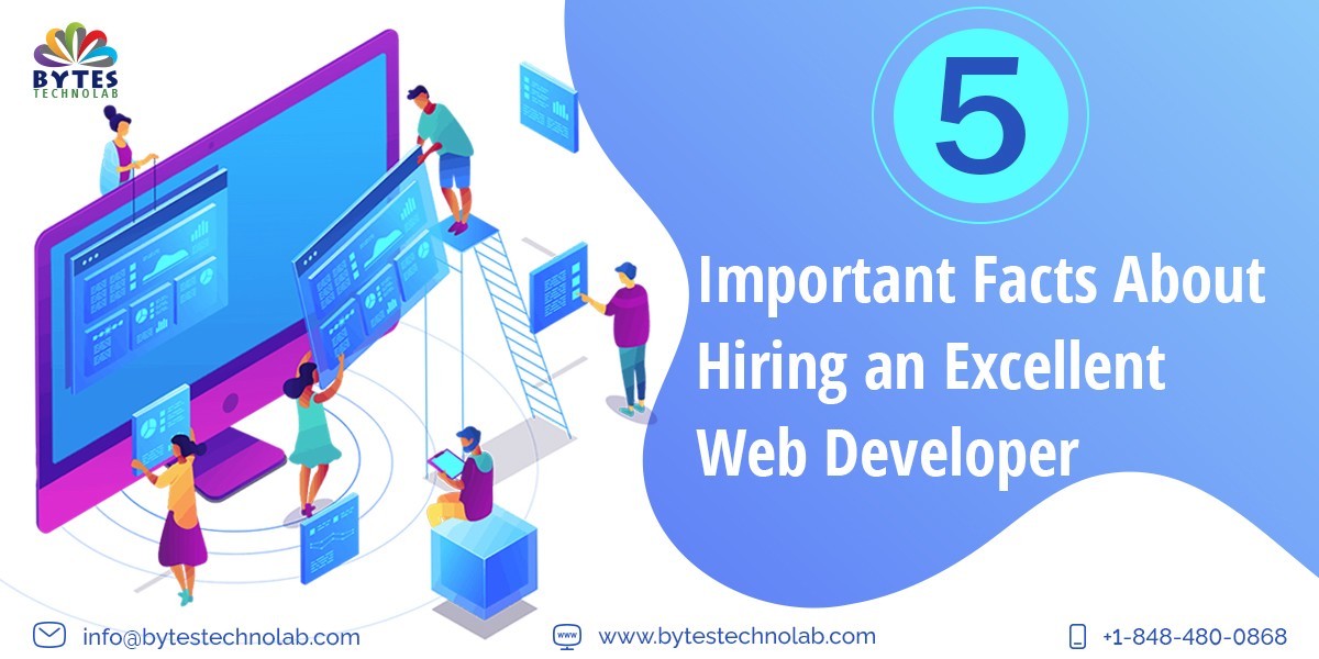  5 Important Facts About Hiring an Excellent Web Developer