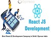 ReactJS Development Company in Delhi | Oprezo India