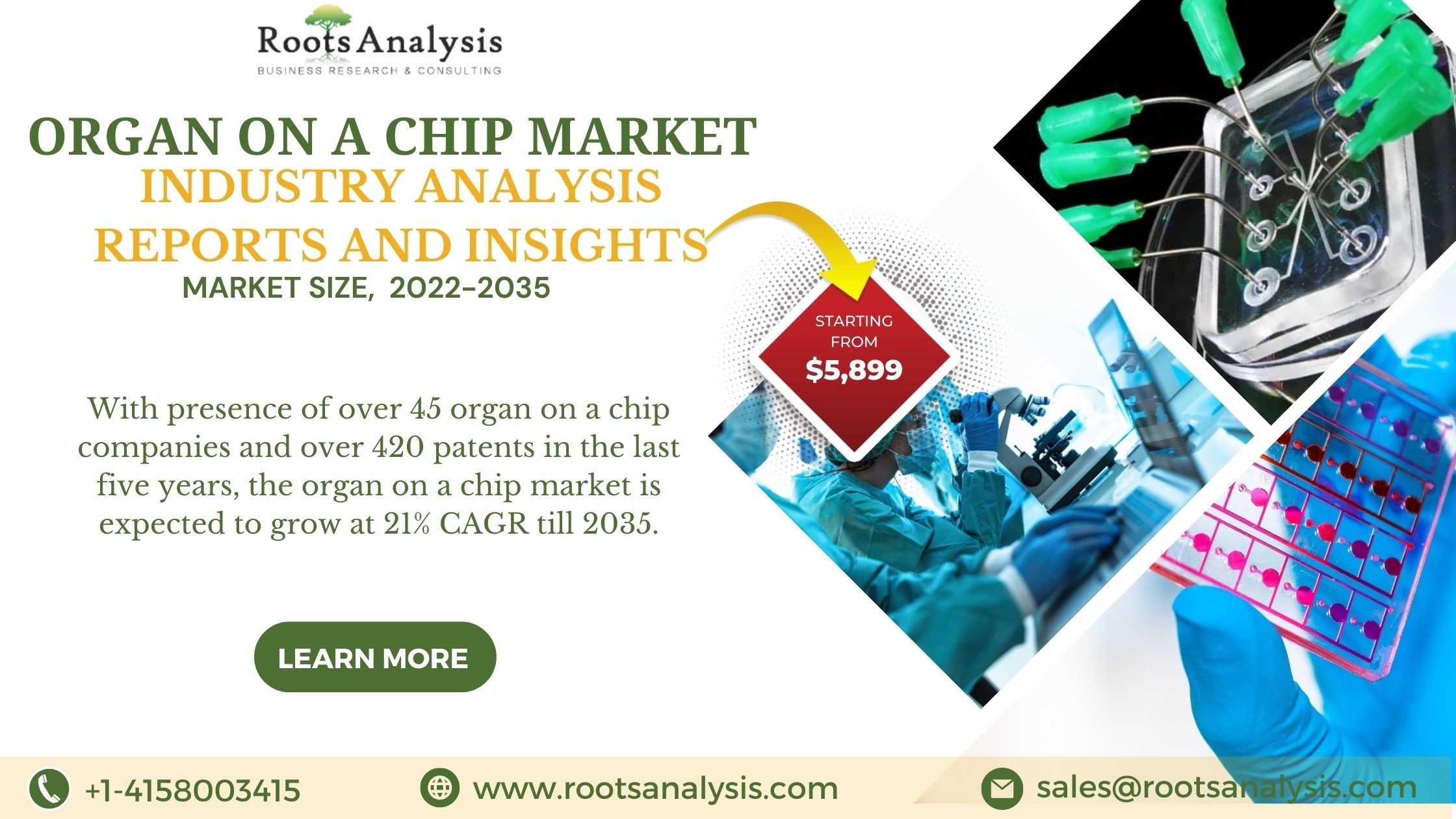 Organ-on-a-Chip Market Size | Trends & Growth | Statistics - 2035