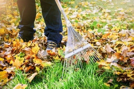 Garden Clearance Service at £47