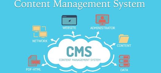 Content Management Services and Offshore IT Services