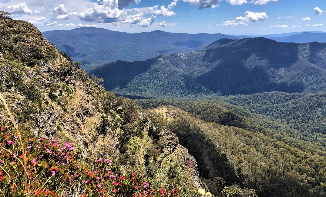 Victorian High Country Tours