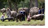 Kaziranga National Park