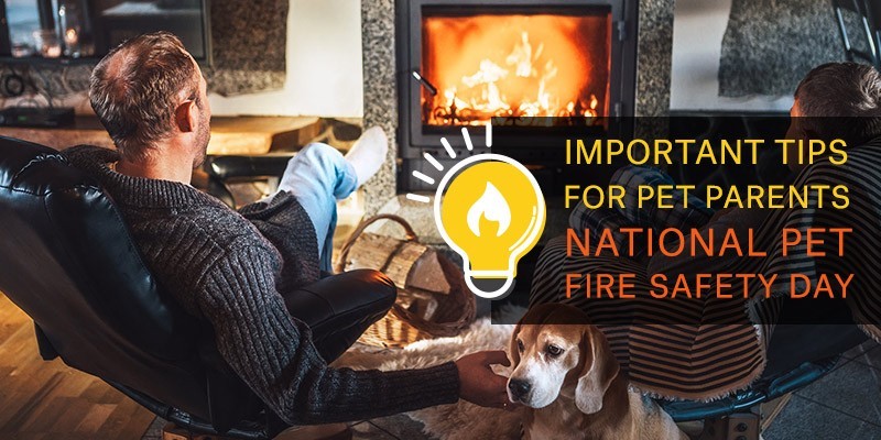 Helpful Tips for Pet Parents on National Pet Fire Safety Day