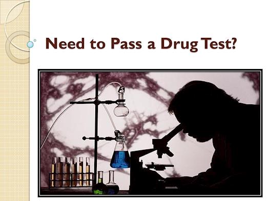 Need to Pass a Drug Test? 