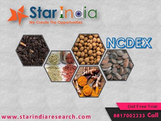 NCDEX Tips : Best Free Agri Commodity Tips