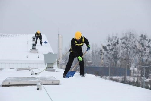 Farina Snow Removal Service
