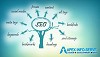 Professional SEO Company in USA - Apex Info-Serve