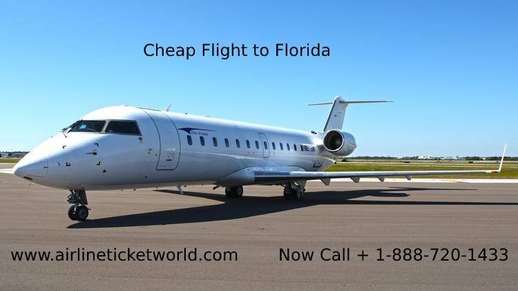 Cheap Airline Tickets to Florida with Airline Ticket World