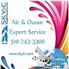 Air & Ocean Export Service