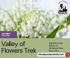 Valley of Flowers Trek Route: Embark on an Adventure of Natural Abundance