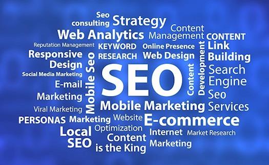 Best Search Engine Optimization Services In Pune | Digitalseed