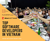 Top Software Developers in Vietnam.