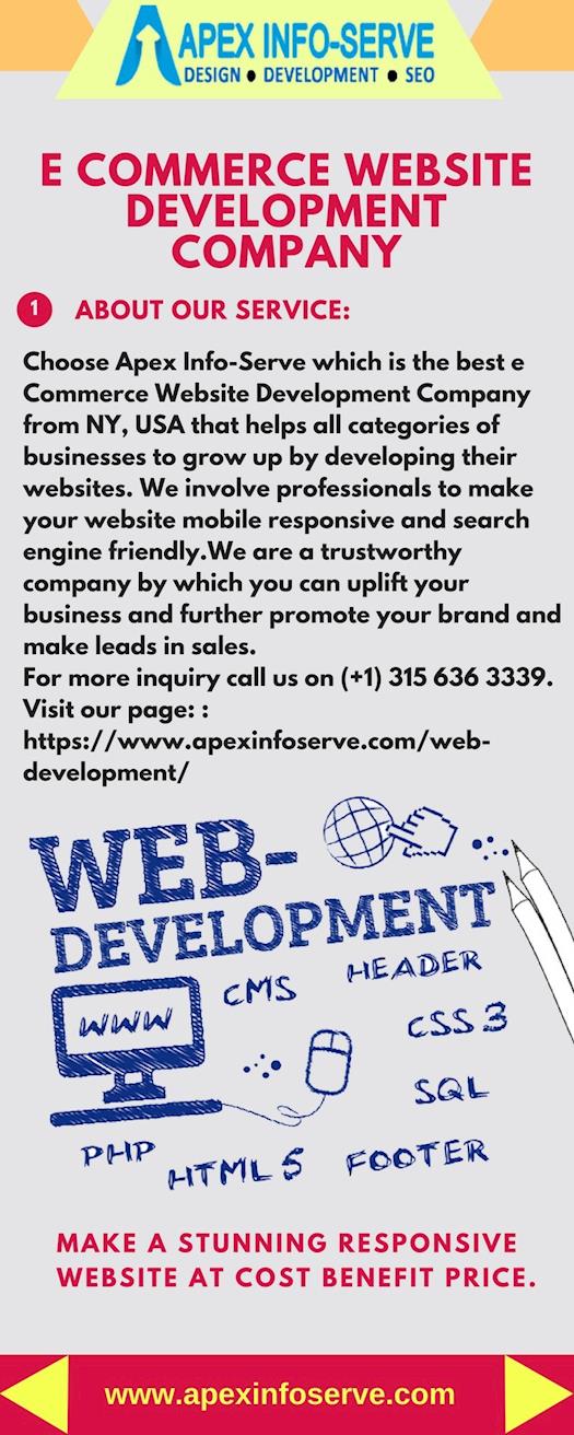 E Commerce Website Development Company-Choose Apex Info-Serve
