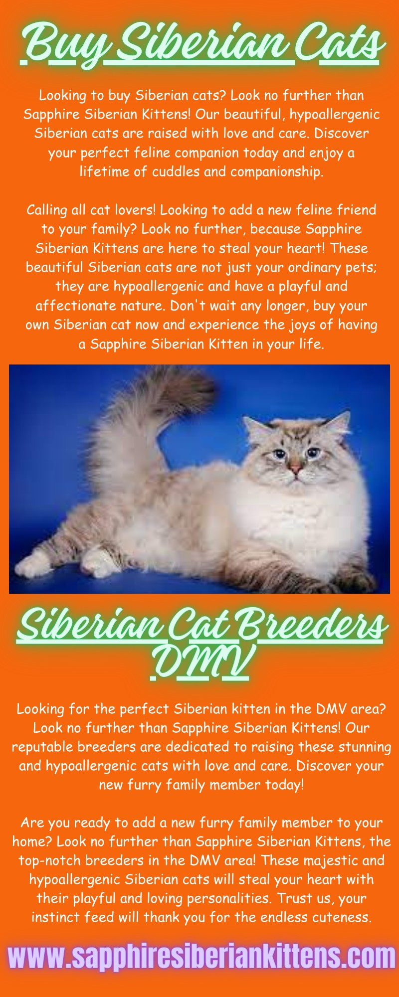 Siberian Cat Breeders DMV