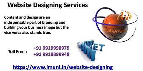 Promote Your Business By Obtaining Our Web Designing Service