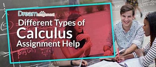 Different Types of Calculus Assignment Help