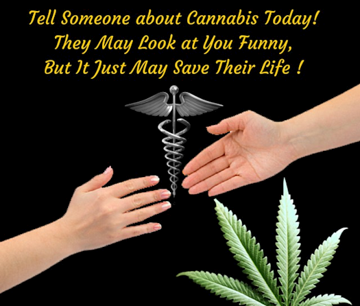 Tell Someone About Cannabis Today! 