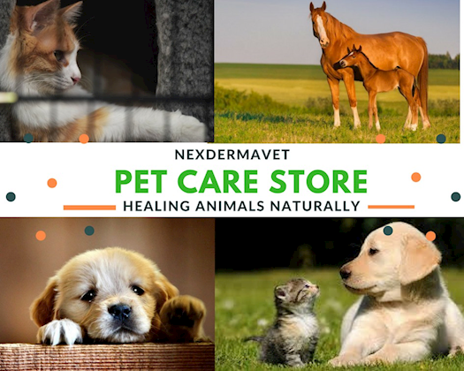  pet wound care products.