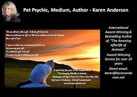 Learn Animal Communication, Animal Psychic 