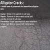 Alligator Cracking on your asphalt