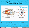 MEDICAL FACT OF THE DAY- CURAA 13