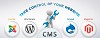 Get Better Traffic and Conversion with CMS Services