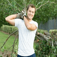 Honest Tree Care