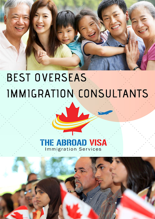  Immigration Consultancy Services