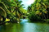 Backwater pathways of Alleppey