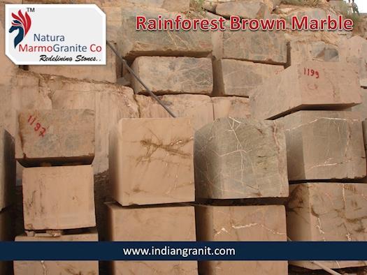Exporter of Rainforest Brown Marble India