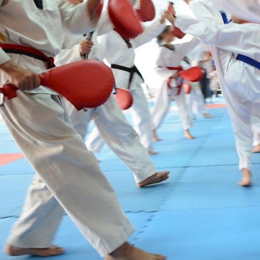Martial Arts School