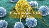 Customized Viruses stimulate the Immune system to fight Cancer