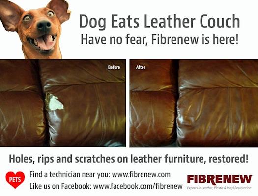 Dog Eats Leather Couch - Leather Repair Franchise