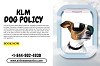 Did you know about the KLM Dog Policy?