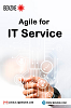 Boosting Innovation and Efficiency in agile for IT Services Embracing with Benzne